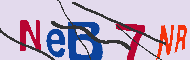 Codigo Captcha