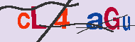 Codigo Captcha