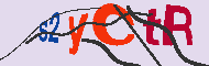 Codigo Captcha