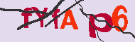 Codigo Captcha