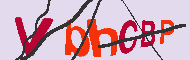Codigo Captcha