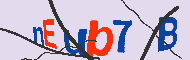 Codigo Captcha